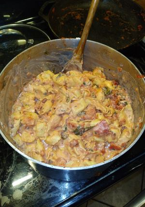 A picture of Cheese Tortellini with Marinara Sauce.