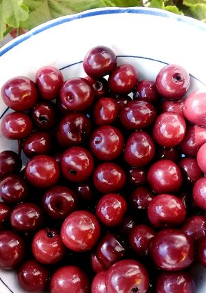 عکسی از دستور ترشی آلبالو🍒