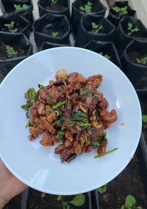 รูปของ ไก่ผัดขึ้นฉ่ายพริกเผา
