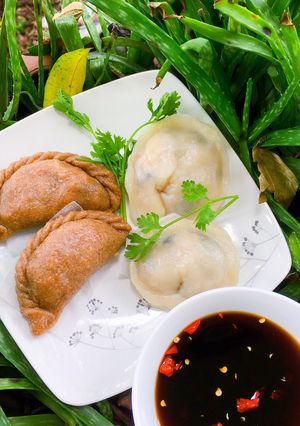 A picture of Steamed Vegetarian Dumplings.