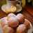 Ollie bollen