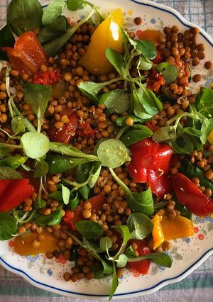 Foto di Insalata di lenticchie