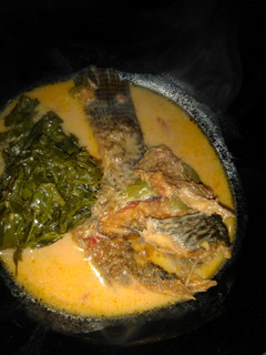 A picture of Fish added milk with Kunde# authormarathon#.