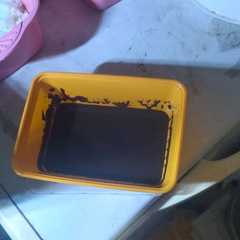 A picture of Selai Cokelat Homemade (aman untuk anak dan pengidap diabetes).