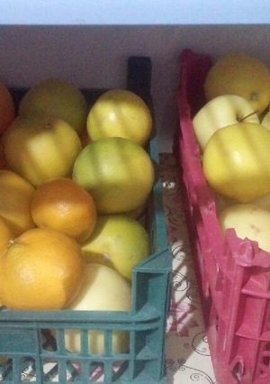 عکسی از دستور روش نگهداری میـوه و سبزیجات
