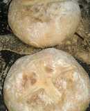 Pan de Campo