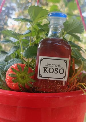 Une photo de 🍓Koso aux Queues de Fraises (sirop antigaspi)