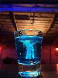 The blue jellyfish