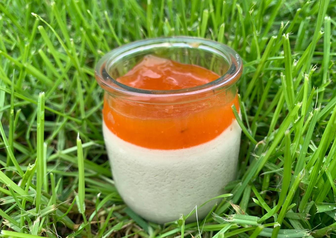 Panna Cotta confiture