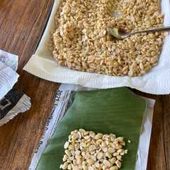 รูปของ Tempe Homemade (dan Mendoan)