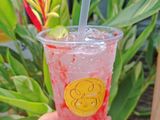 Soda dâu
