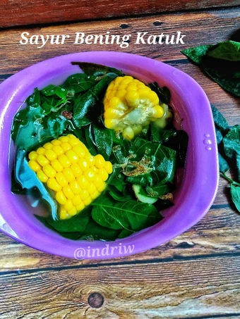 Cara Gampang Membuat Resep  Sayur Bening Katuk yang Enak, Sempurna