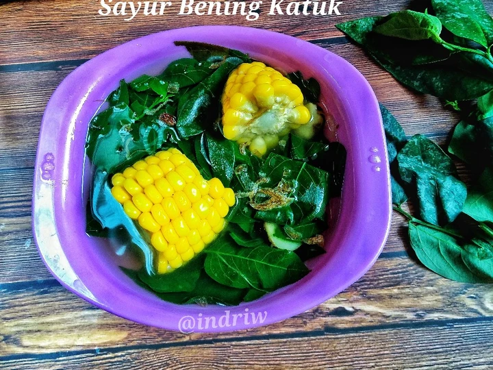Cara Gampang Membuat Resep  Sayur Bening Katuk yang Enak, Sempurna