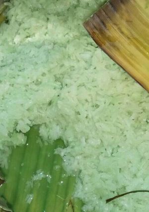Foto resep Tape Ketan Hijau
