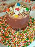 Chocolate Dry Fruit Custard
