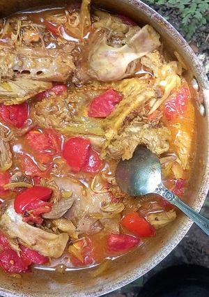 عکسی از دستور واویشکا بدون روغن در طبیعت