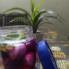 A picture of White Wine Vinegar Pickle(Onion).