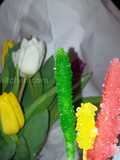 Home made rock candy