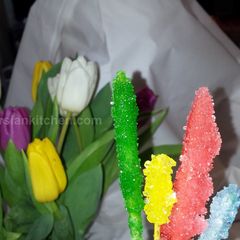 A picture of Home made rock candy.