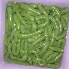 รูปของ Cendol daun katuk // gak pake langu