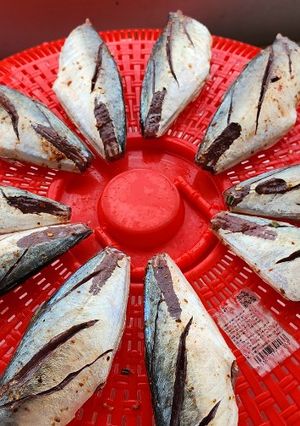 Hình của món Cá nục một nắng.