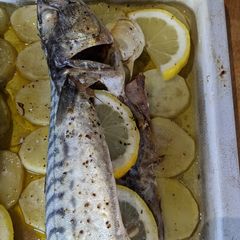 A picture of Simple roast mackerel + potatoes.