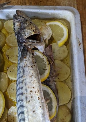 A picture of Simple roast mackerel + potatoes.