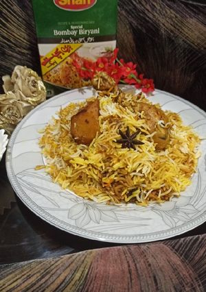 A picture of Bombay biryani.