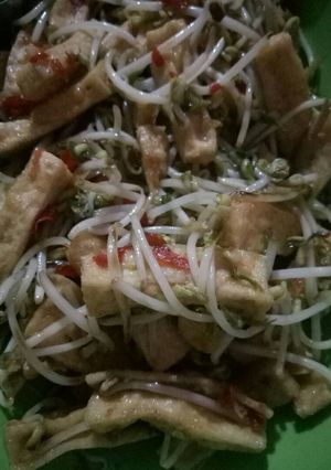 Foto resep Tumis Tahu taouge