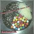 Terang Bulan Coklat