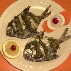 Apple Fish A picture of Apple Fish.