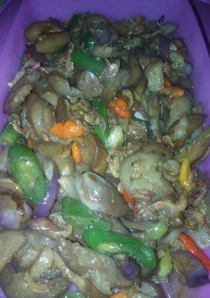 Foto resep Oseng terong udang rebon