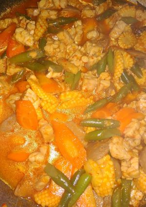 Foto resep Santan tempe (buncis, wortel, jagung semi, baso)