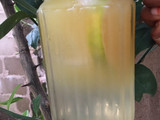 Lemonade