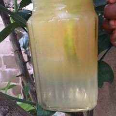 A picture of Lemonade.