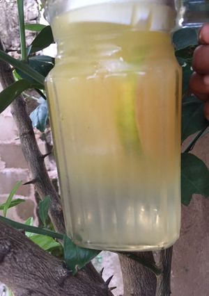 A picture of Lemonade.