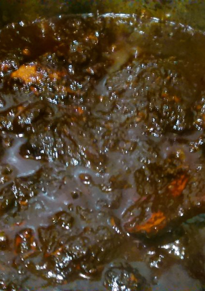 Una foto de Costilla en salsa de chile seco