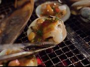 Hình ảnh của sò lông sốt