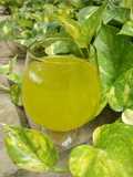 Mint lime juice