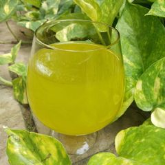 A picture of Mint lime juice.