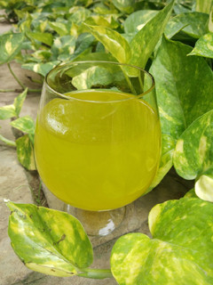 A picture of Mint lime juice.