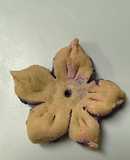 Cánh hoa đào mùa Trăng🌸