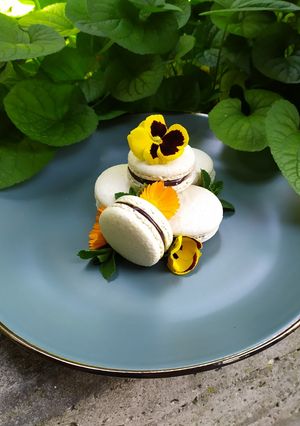 Foto di Ricetta biscotti MACARONS