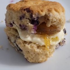 Spiced blueberry scones A picture of Spiced blueberry scones.