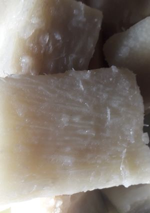 A picture of White yam.
