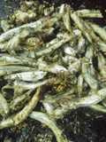 Cornalitos con tomillo y especias, rápido, sencillo😋🐟