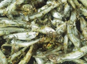 Una foto de Cornalitos con tomillo y especias, rápido, sencillo😋🐟