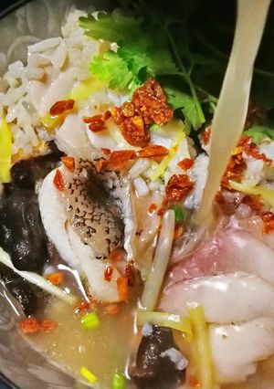 รูปของ ข้าวต้มปลาเก๋าชิ้นโตเต็มคำ(สูตร1 กุ๋ยช่ายขาว และสูตร2 เซเลอรี่ คลินตัน...อะไร๊?? ตึ่งโป๊ะ)