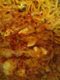Omelet Noodles (rendang sense)