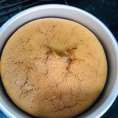 A picture of Vanilla Sponge Cake.